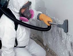 Church Rock, NM Mold Prevention & Removal  Company